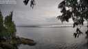 ./images/koeye/fitz-hugh/20250626/fitz-hugh20250626_185509M.jpg