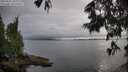 ./images/koeye/fitz-hugh/20250626/fitz-hugh20250626_190009M.jpg