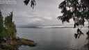 ./images/koeye/fitz-hugh/20250626/fitz-hugh20250626_190508M.jpg