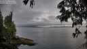 ./images/koeye/fitz-hugh/20250626/fitz-hugh20250626_191008M.jpg