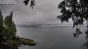 ./images/koeye/fitz-hugh/20250626/fitz-hugh20250626_192508M.jpg