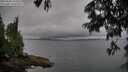./images/koeye/fitz-hugh/20250626/fitz-hugh20250626_193508M.jpg