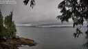 ./images/koeye/fitz-hugh/20250626/fitz-hugh20250626_194008M.jpg