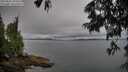 ./images/koeye/fitz-hugh/20250626/fitz-hugh20250626_194508M.jpg