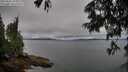 ./images/koeye/fitz-hugh/20250626/fitz-hugh20250626_195009M.jpg
