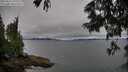 ./images/koeye/fitz-hugh/20250626/fitz-hugh20250626_195509M.jpg