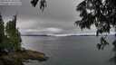 ./images/koeye/fitz-hugh/20250626/fitz-hugh20250626_200509M.jpg