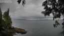 ./images/koeye/fitz-hugh/20250626/fitz-hugh20250626_202509M.jpg