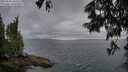 ./images/koeye/fitz-hugh/20250626/fitz-hugh20250626_204508M.jpg