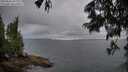 ./images/koeye/fitz-hugh/20250626/fitz-hugh20250626_205008M.jpg