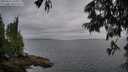 ./images/koeye/fitz-hugh/20250626/fitz-hugh20250626_211009M.jpg