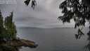 ./images/koeye/fitz-hugh/20250626/fitz-hugh20250626_211507M.jpg