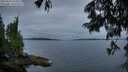 ./images/koeye/fitz-hugh/20250626/fitz-hugh20250626_214508M.jpg