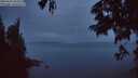 ./images/koeye/fitz-hugh/20250627/fitz-hugh20250627_043508M.jpg