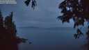 ./images/koeye/fitz-hugh/20250627/fitz-hugh20250627_044009M.jpg