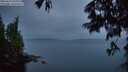 ./images/koeye/fitz-hugh/20250627/fitz-hugh20250627_045010M.jpg