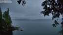 ./images/koeye/fitz-hugh/20250627/fitz-hugh20250627_045508M.jpg