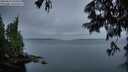 ./images/koeye/fitz-hugh/20250627/fitz-hugh20250627_050509M.jpg