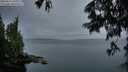 ./images/koeye/fitz-hugh/20250627/fitz-hugh20250627_051008M.jpg