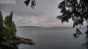 ./images/koeye/fitz-hugh/20250627/fitz-hugh20250627_055009M.jpg