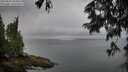 ./images/koeye/fitz-hugh/20250627/fitz-hugh20250627_064014M.jpg