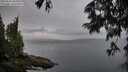 ./images/koeye/fitz-hugh/20250627/fitz-hugh20250627_064511M.jpg