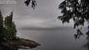 ./images/koeye/fitz-hugh/20250627/fitz-hugh20250627_065012M.jpg