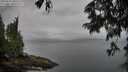 ./images/koeye/fitz-hugh/20250627/fitz-hugh20250627_065513M.jpg