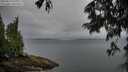 ./images/koeye/fitz-hugh/20250627/fitz-hugh20250627_071010M.jpg