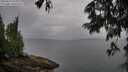 ./images/koeye/fitz-hugh/20250627/fitz-hugh20250627_080010M.jpg