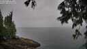 ./images/koeye/fitz-hugh/20250627/fitz-hugh20250627_095008M.jpg