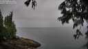 ./images/koeye/fitz-hugh/20250627/fitz-hugh20250627_095509M.jpg