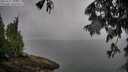 ./images/koeye/fitz-hugh/20250627/fitz-hugh20250627_101511M.jpg