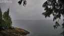 ./images/koeye/fitz-hugh/20250627/fitz-hugh20250627_104511M.jpg