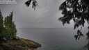 ./images/koeye/fitz-hugh/20250627/fitz-hugh20250627_105011M.jpg