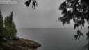 ./images/koeye/fitz-hugh/20250627/fitz-hugh20250627_110011M.jpg