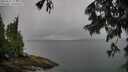 ./images/koeye/fitz-hugh/20250627/fitz-hugh20250627_114010M.jpg