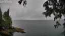 ./images/koeye/fitz-hugh/20250627/fitz-hugh20250627_130012M.jpg