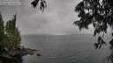 ./images/koeye/fitz-hugh/20250627/fitz-hugh20250627_135510M.jpg