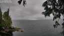./images/koeye/fitz-hugh/20250627/fitz-hugh20250627_140010M.jpg