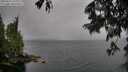 ./images/koeye/fitz-hugh/20250627/fitz-hugh20250627_141511M.jpg