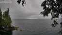 ./images/koeye/fitz-hugh/20250627/fitz-hugh20250627_143010M.jpg