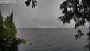 ./images/koeye/fitz-hugh/20250627/fitz-hugh20250627_143511M.jpg