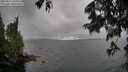 ./images/koeye/fitz-hugh/20250627/fitz-hugh20250627_144510M.jpg