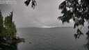 ./images/koeye/fitz-hugh/20250627/fitz-hugh20250627_145510M.jpg