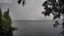 ./images/koeye/fitz-hugh/20250627/fitz-hugh20250627_150011M.jpg