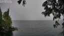 ./images/koeye/fitz-hugh/20250627/fitz-hugh20250627_150510M.jpg