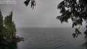 ./images/koeye/fitz-hugh/20250627/fitz-hugh20250627_151011M.jpg