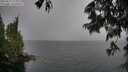 ./images/koeye/fitz-hugh/20250627/fitz-hugh20250627_152007M.jpg