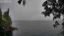 ./images/koeye/fitz-hugh/20250627/fitz-hugh20250627_152509M.jpg